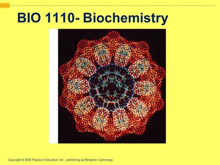 Copyright © 2008 Pearson Education, Inc., publishing as Benjamin Cummings BIO 1110- Biochemistry.