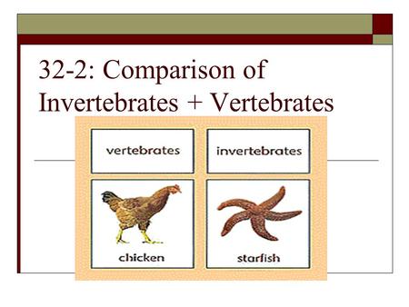 32-2: Comparison of Invertebrates + Vertebrates. Invertebrate characteristics  Symmetry Radial or bilateral  Aquatic Terrestrial  Aquatic – radial;