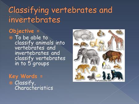 Objective =  To be able to classify animals into vertebrates and invertebrates and classify vertebrates in to 5 groups Key Words =  Classify, Characteristics.
