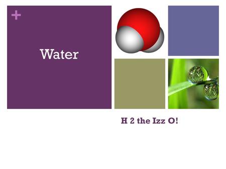 + H 2 the Izz O! Water. + Water: H2O About 70% of the Earth’s surface is covered in water Can be: Ice, Liquid, or Vapor.
