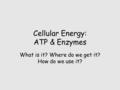 Cellular Energy: ATP & Enzymes What is it? Where do we get it? How do we use it?