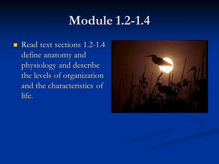 Module 1.2-1.4 Read text sections 1.2-1.4 define anatomy and physiology and describe the levels of organization and the characteristics of life. Read text.