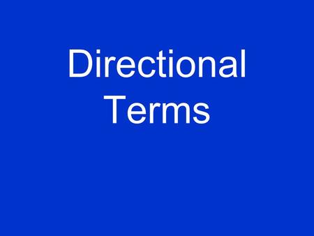 Directional Terms. LE 1-8a Right Left Lateral Proximal Medial Distal Inferior Superior An anterior view.