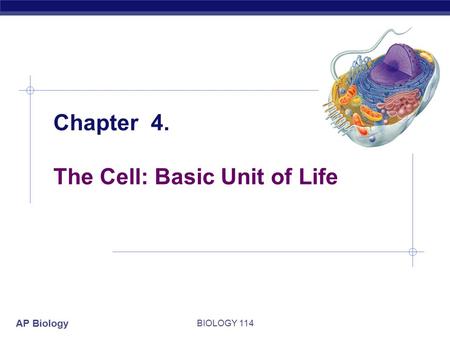 AP Biology Chapter 4. The Cell: Basic Unit of Life BIOLOGY 114.
