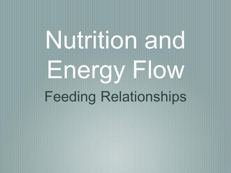 Nutrition and Energy Flow Feeding Relationships. Energy Anytime an organism eats, it’s doing two things: consuming matter obtaining energy.