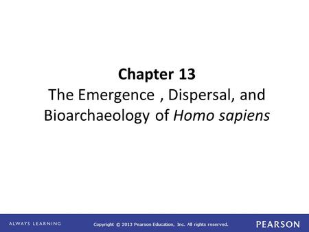 Copyright © 2013 Pearson Education, Inc. All rights reserved. Chapter 13 The Emergence, Dispersal, and Bioarchaeology of Homo sapiens.