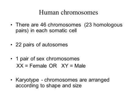 Human chromosomes There are 46 chromosomes (23 homologous pairs) in each somatic cell 22 pairs of autosomes 1 pair of sex chromosomes XX = Female OR XY.