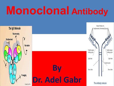 Monoclonal Antibody By Dr. Adel Gabr.