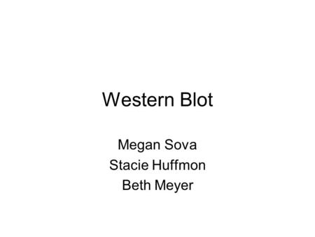 Western Blot Megan Sova Stacie Huffmon Beth Meyer.