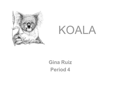KOALA Gina Ruiz Period 4. DESCRIPTION Koalas have soft, wool-like fur that is gray above and white below. Their fur is mostly white below the neck, and.