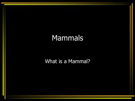 Mammals What is a Mammal?. What is a mammal? Like birds, mammals are endotherms Maintain a constant body temperature This allows them to live every where.