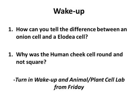 Wake-up 1.How can you tell the difference between an onion cell and a Elodea cell? 1.Why was the Human cheek cell round and not square? -Turn in Wake-up.