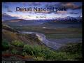 Denali National park by: Garrick. location climate Snow, very cold and windy.