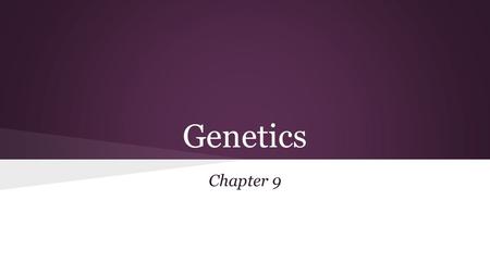Genetics Chapter 9. Vocabulary *Heredity – The transmission of traits from parents to offspring. * Traits- a specific characteristic of an organism (Example: