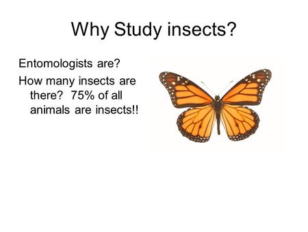 Why Study insects? Entomologists are? How many insects are there? 75% of all animals are insects!!