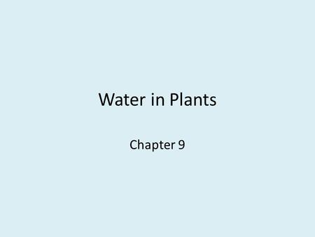 Water in Plants Chapter 9. Outline  Molecular Movement  Water and Its Movement Through the Plant  Regulation of Transpiration  Transport of Food Substances.