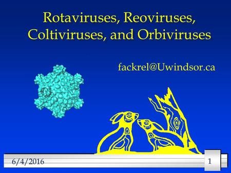 11 6/4/2016 Rotaviruses, Reoviruses, Coltiviruses, and Orbiviruses