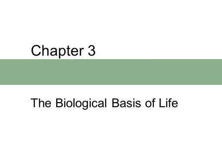 Chapter 3 The Biological Basis of Life. Chapter Outline  The Cell  DNA Structure  DNA Replication  Protein Synthesis.