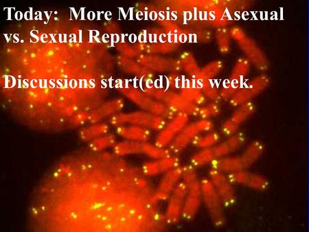 Today: More Meiosis plus Asexual vs. Sexual Reproduction Discussions start(ed) this week.