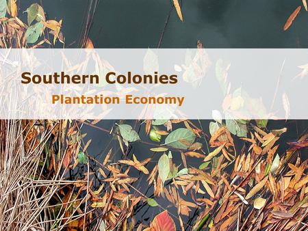 Southern Colonies Plantation Economy. Virginia  Virginia Company  1607  Profit  John Smith  John Rolfe  Tobacco $ cash crop.
