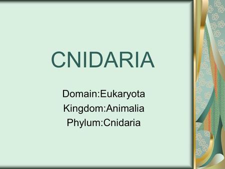 CNIDARIA Domain:Eukaryota Kingdom:Animalia Phylum:Cnidaria.