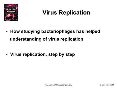© Elsevier, 2011.Principles of Molecular Virology Virus Replication How studying bacteriophages has helped understanding of virus replication Virus replication,