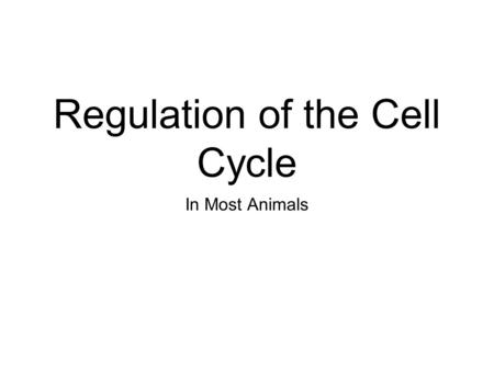 Regulation of the Cell Cycle In Most Animals. Cell Cycle Checkpoints The decision to proceed from one part of the cell cycle to another depends on a variety.