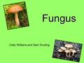 Fungus Caity Williams and Sam Druding. The Fungi Kingdom.