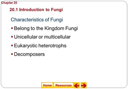 Characteristics of Fungi  Belong to the Kingdom Fungi 20.1 Introduction to Fungi Fungi  Unicellular or multicellular Chapter 20  Eukaryotic heterotrophs.