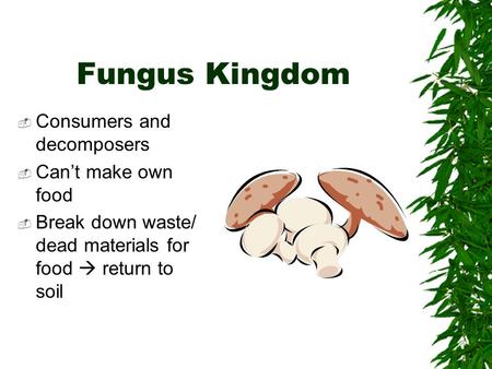 Fungus Kingdom  Consumers and decomposers  Can’t make own food  Break down waste/ dead materials for food  return to soil.