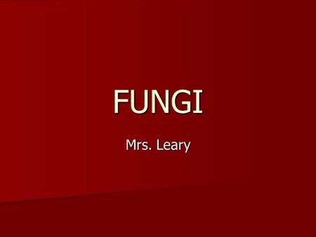 FUNGI Mrs. Leary. Characteristics Eukaryotes Eukaryotes Cannot move Cannot move Single celled and multicellular Single celled and multicellular Hyphae.