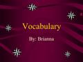 Vocabulary By: Brianna Realm What does it mean??? A- a soft cloth made of wool or cotton or one of these combined with other fibers,such as rayon. B-