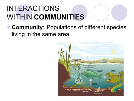 INTERACTIONS WITHIN COMMUNITIES Community: Populations of different species living in the same area.