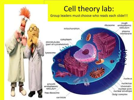 Cell theory lab: Group leaders must choose who reads each slide!!!