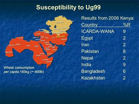 Susceptibility to Ug99 Results from 2006 Kenya: Country%R ICARDA-WANA9 Egypt2 Iran2 Pakistan8 Nepal2 India9 Bangladesh6 Kazakhstan2 Wheat consumption per.