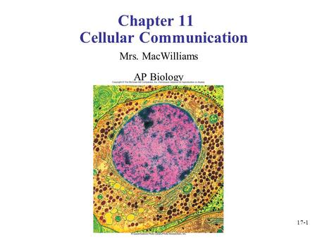 17-1 Chapter 11 Cellular Communication Mrs. MacWilliams AP Biology.