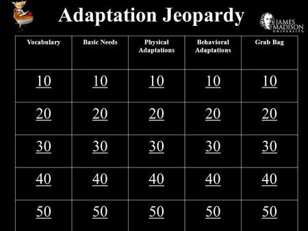 Adaptation Jeopardy VocabularyBasic NeedsPhysical Adaptations Behavioral Adaptations Grab Bag 10 20 30 40 50.