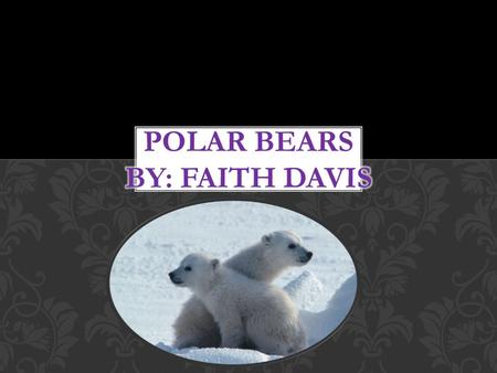 My Name is Faith and I’m doing polar bears. I like polar bears because they have white fur. INTRODUCTION.