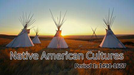 The New Curriculum Key Concept 1.1 “Before the arrival of Europeans, native populations in North America developed a wide variety of social, political,