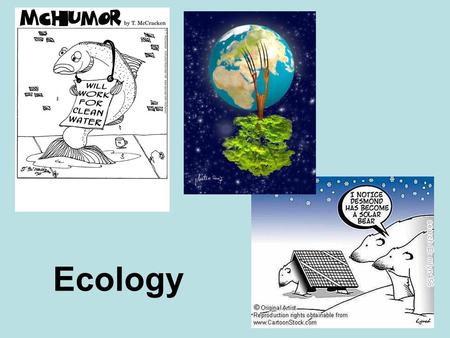 Ecology. Chapter 13: Principles of Ecology Ecology is the study of the interactions among living things, and between living things and their surroundings.