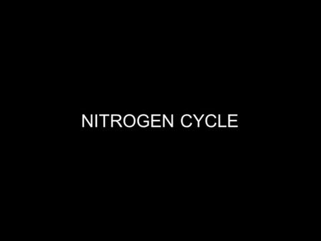 NITROGEN CYCLE. What does this have to do with me?