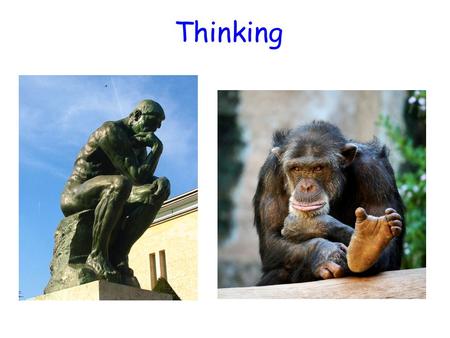 Thinking. Cognition Another term for thinking, knowing and remembering. Maybe by studying the way we think, we can eventually think better. Does the way.