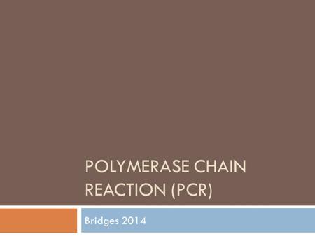POLYMERASE CHAIN REACTION (PCR) Bridges 2014. Polymerase Chain Reaction  Simple reaction  Produces many copies of a specific fragment of DNA  Live.