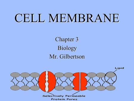 CELL MEMBRANE Chapter 3 Biology Mr. Gilbertson. CELL MEMBRANE ( PLASMA MEMBRANE)