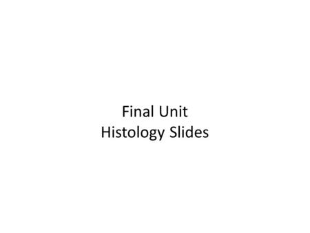 Final Unit Histology Slides. Oral Epithelium Buccal surface – stratified squamous non-keratinized epithelium.