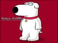 Brian Griffin is a fictional character from the animated television series Family Guy. An anthropomorphic dog, voiced by Seth MacFarlane, he is one of.