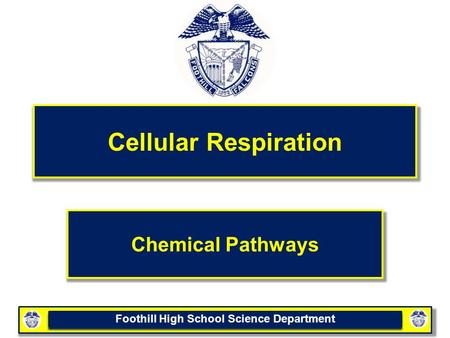 Foothill High School Science Department Cellular Respiration Chemical Pathways.