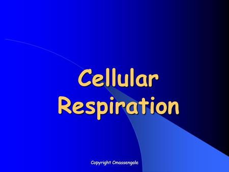 Cellular Respiration Copyright Cmassengale. What Is ATP? Energy used by all Cells Adenosine Triphosphate Organic molecule containing high- energy Phosphate.