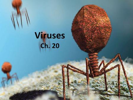 Viruses Ch. 20. Is a Virus Alive? Lets first look at organisms we know are alive? What can you tell by comparing the virus to the cells we have learned.