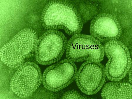 Viruses. But first…Classification Recap.